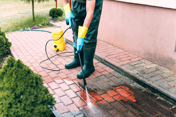 Animal Enclosure Cleaning in Buda, TX